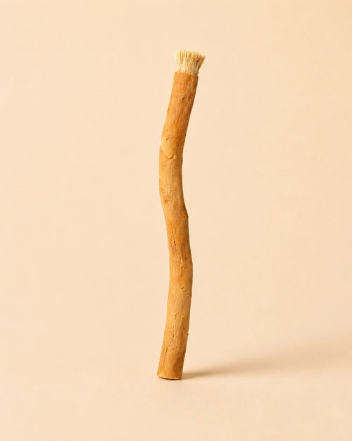 Bâton de siwak - Hygiène bucco-dentaire - LKosmetic