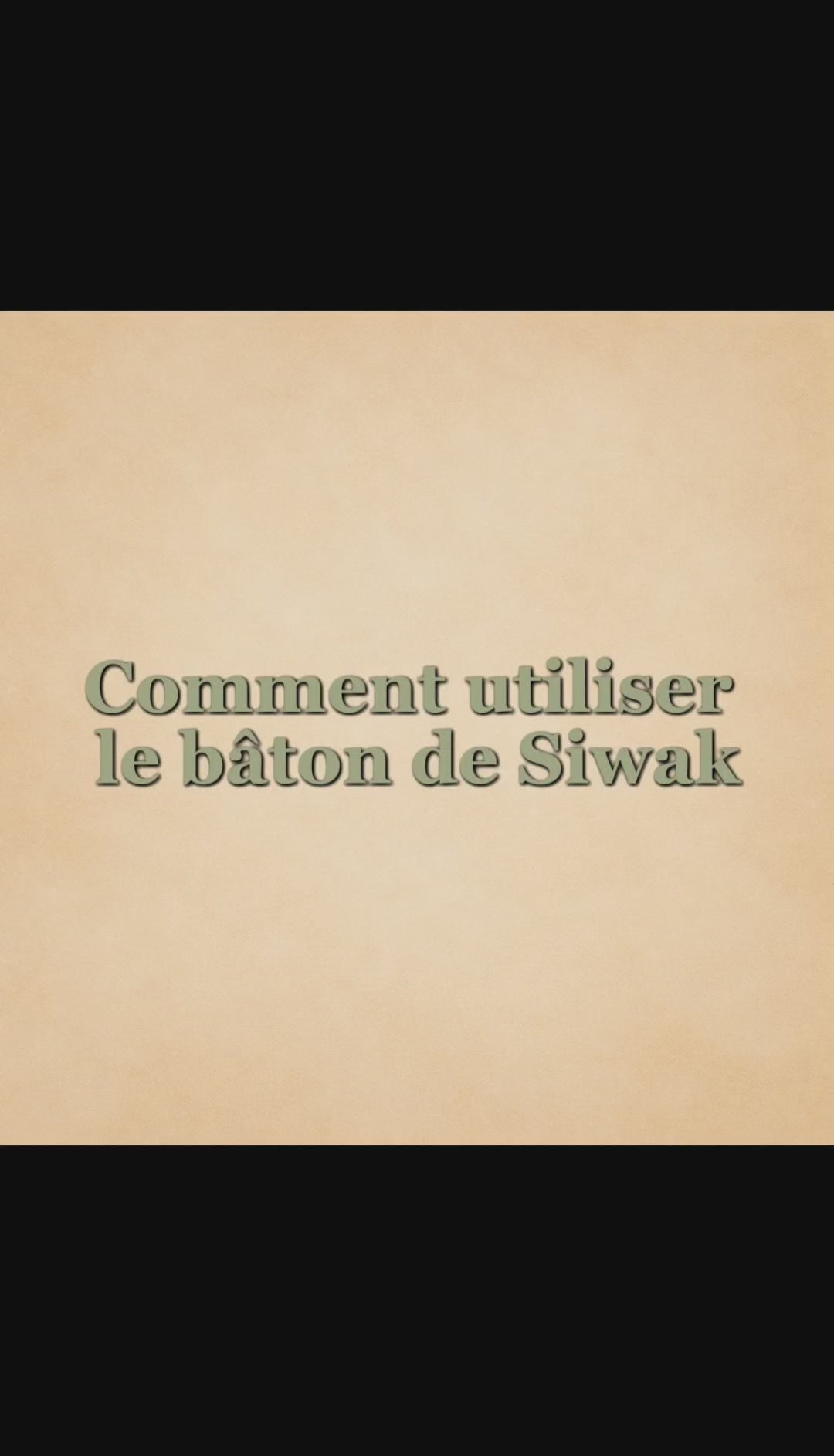 Bâton de siwak - Hygiène bucco-dentaire